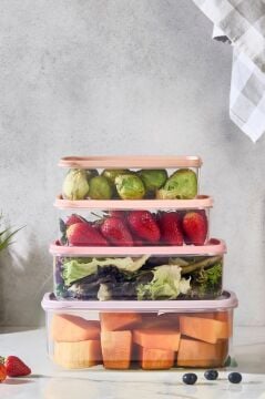 4’lü İç içe Geçen Kapaklı Saklama Kabı Seti, Buzdolabı Piknik Ofis Pratik Saklama Kutusu 4’lü Set