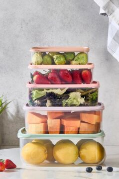 5’li İç içe Geçen Kapaklı Saklama Kabı Seti, Buzdolabı Piknik Ofis Pratik Saklama Kutusu 5’li Set