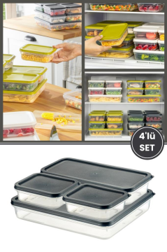 Flora 4’lü Dondurucu Saklama Kabı Seti, Buzdolabı Difriz Erzak Gıda Düzenleyici Set (2600,1200,500,500ml) Mavi