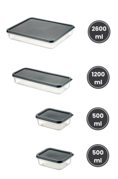 Flora 4’lü Dondurucu Saklama Kabı Seti, Buzdolabı Difriz Erzak Gıda Düzenleyici Set (2600,1200,500,500ml) Mavi