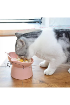 2'li Kedi Köpek Mama ve Su Kabı Seti, Evcil Hayvan Boyun Ve Bıyık Sağlığı İçin Özel Mama ve Su Kabı