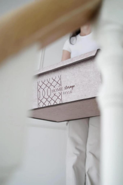 Flosoft Keçe Kapaklı Baza Hurcu, Çok Amaçlı Düzenleyici Organizer Kapaklı Kutu 50x40x19 Cm Krem