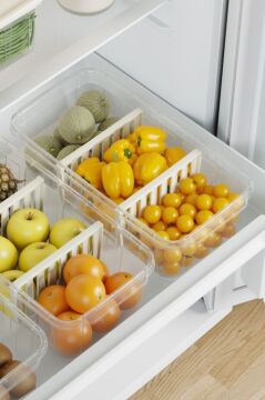 Flora 3 Bölmeli Kapaklı Organizer 6 litre, Büyük Boy Sebze Meyve Düzenleyici Buzdolabı Saklama Kabı