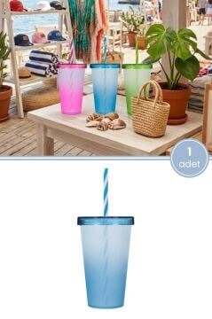 Çift Renkli Pipetli Kapaklı Bardak 660 ml, Smoothie Meşrubat Meyve Suyu Parti İçecek Bardağı