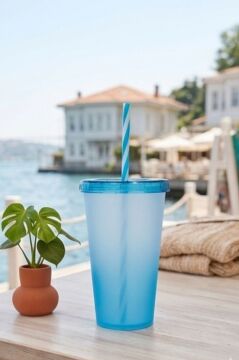 Çift Renkli Pipetli Kapaklı Bardak 660 ml, Smoothie Meşrubat Meyve Suyu Parti İçecek Bardağı