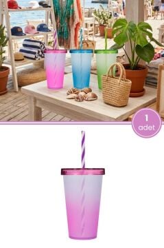 Çift Renkli Pipetli Kapaklı Bardak 660 ml, Smoothie Meşrubat Meyve Suyu Parti İçecek Bardağı